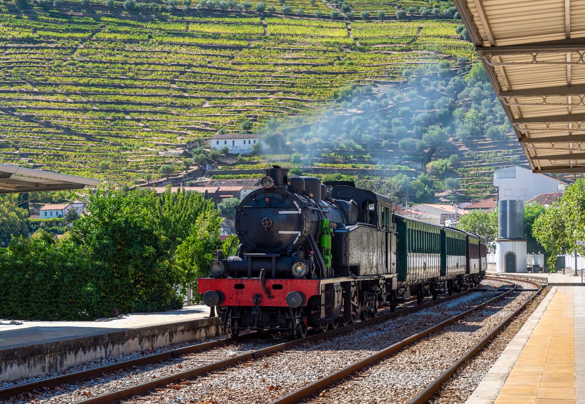 7 - Historic train ride