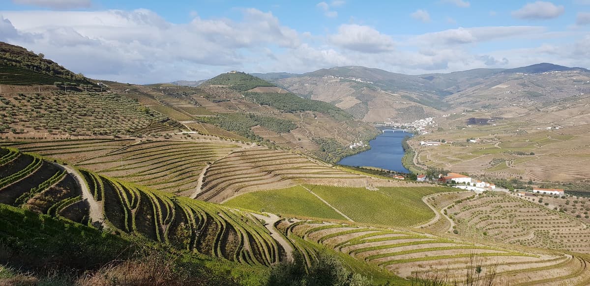 3 - The Douro Demarcated Region