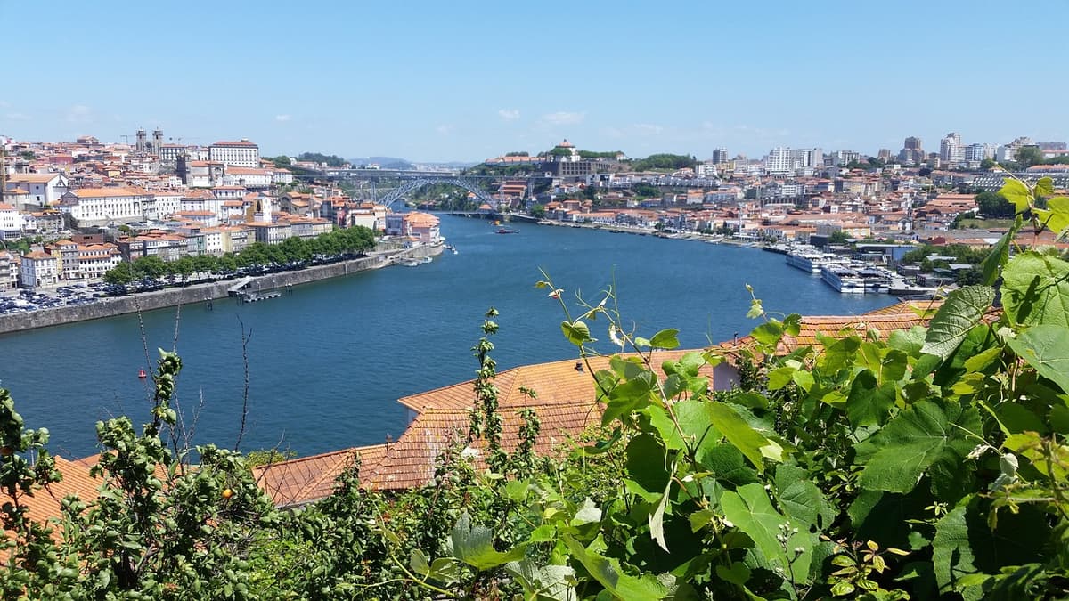 Revealing the charm of Porto