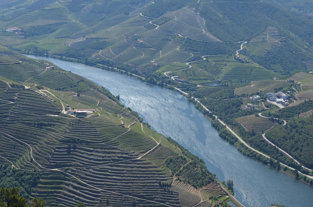 3 - The Douro Demarcated Region