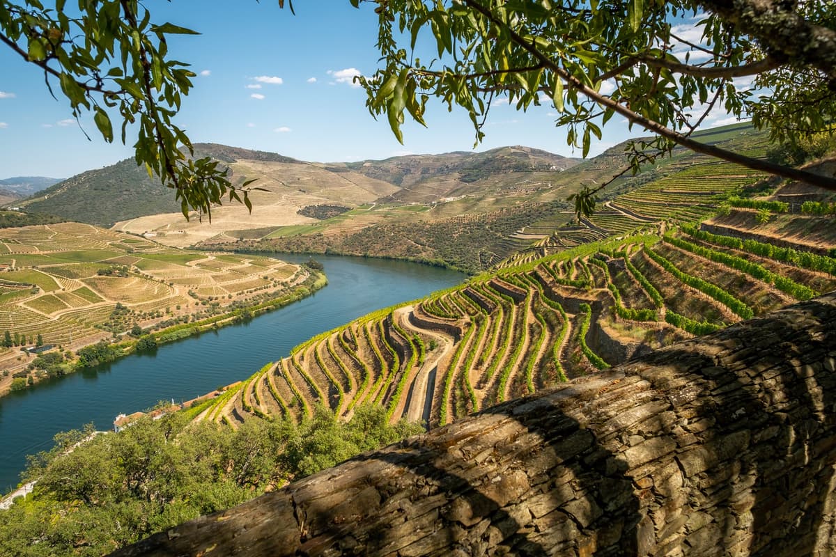 Explore the Douro Valley