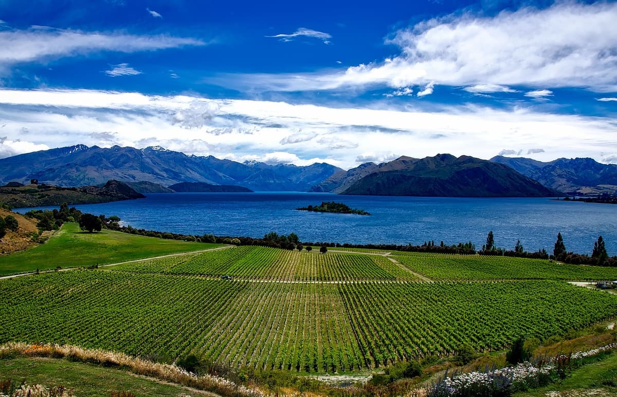 6 - New Zealand