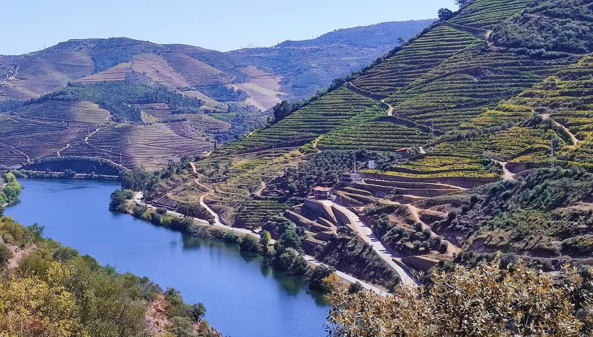 3 - The Douro Demarcated Region