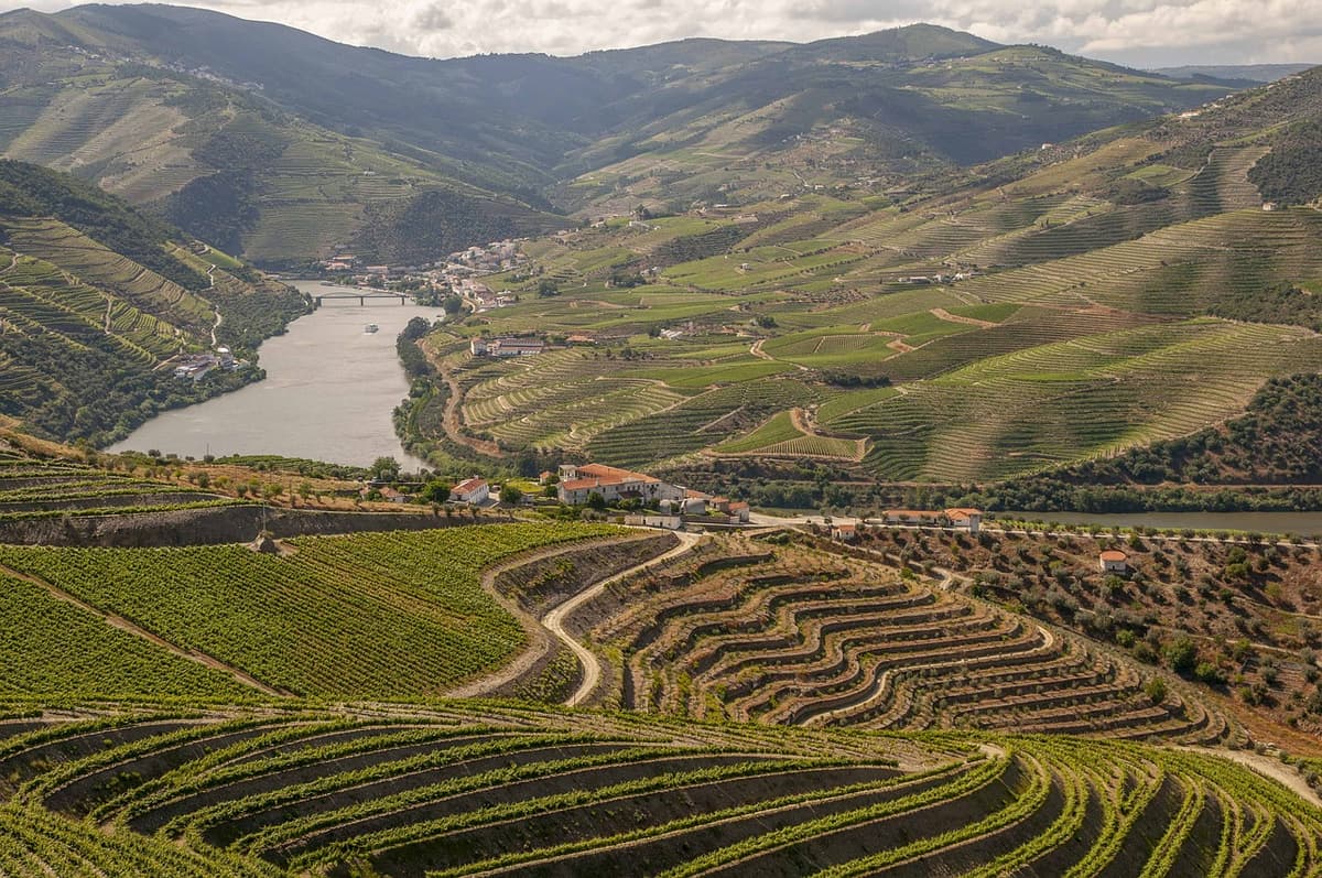 Vale do Douro