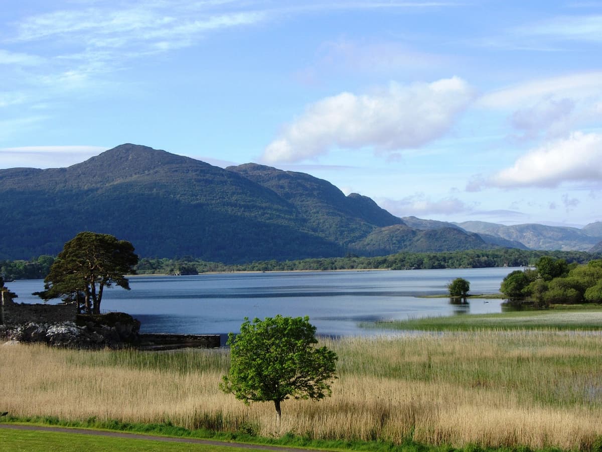 14 - Killarney National Park