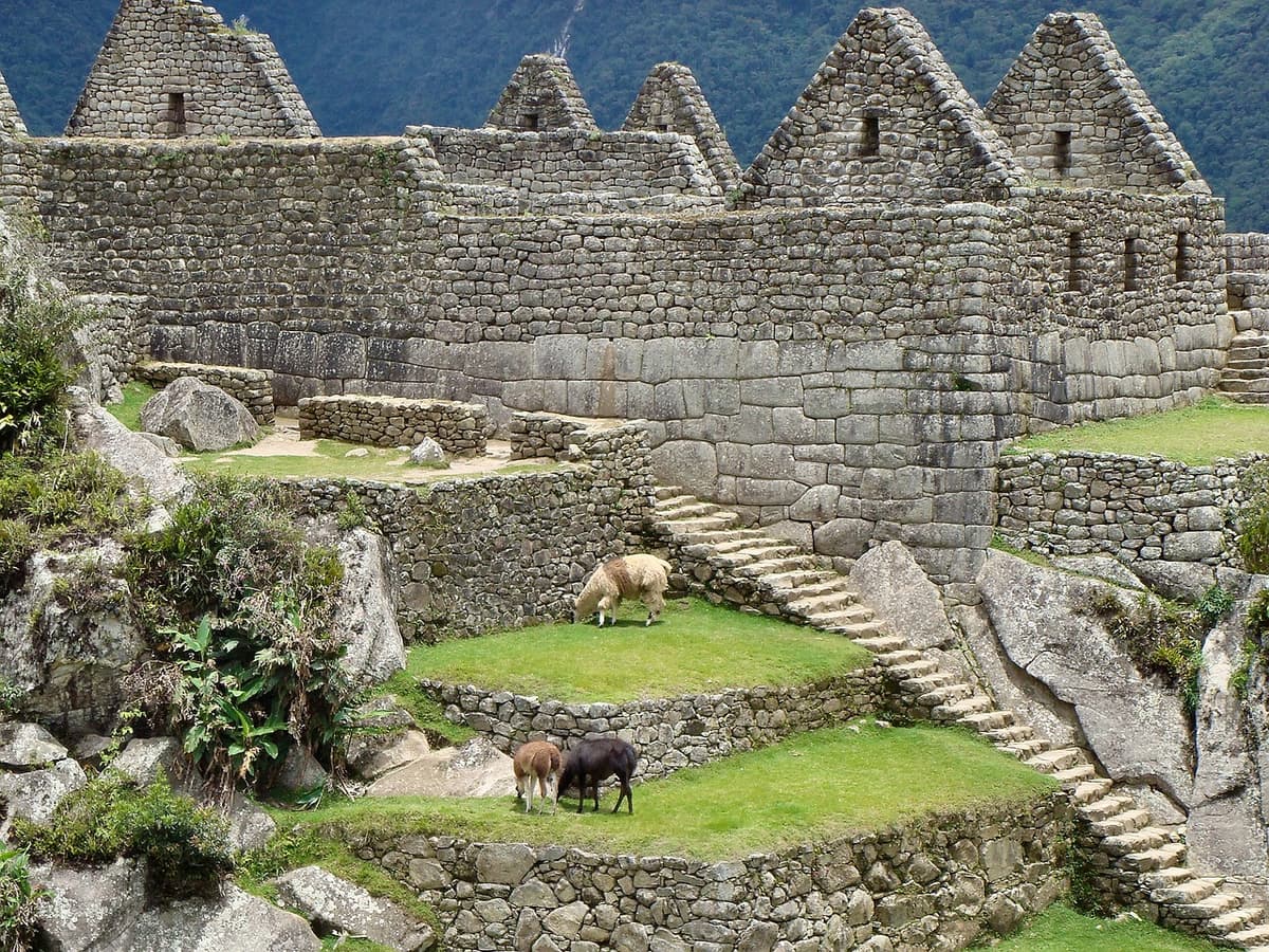 5 - Machu Picchu