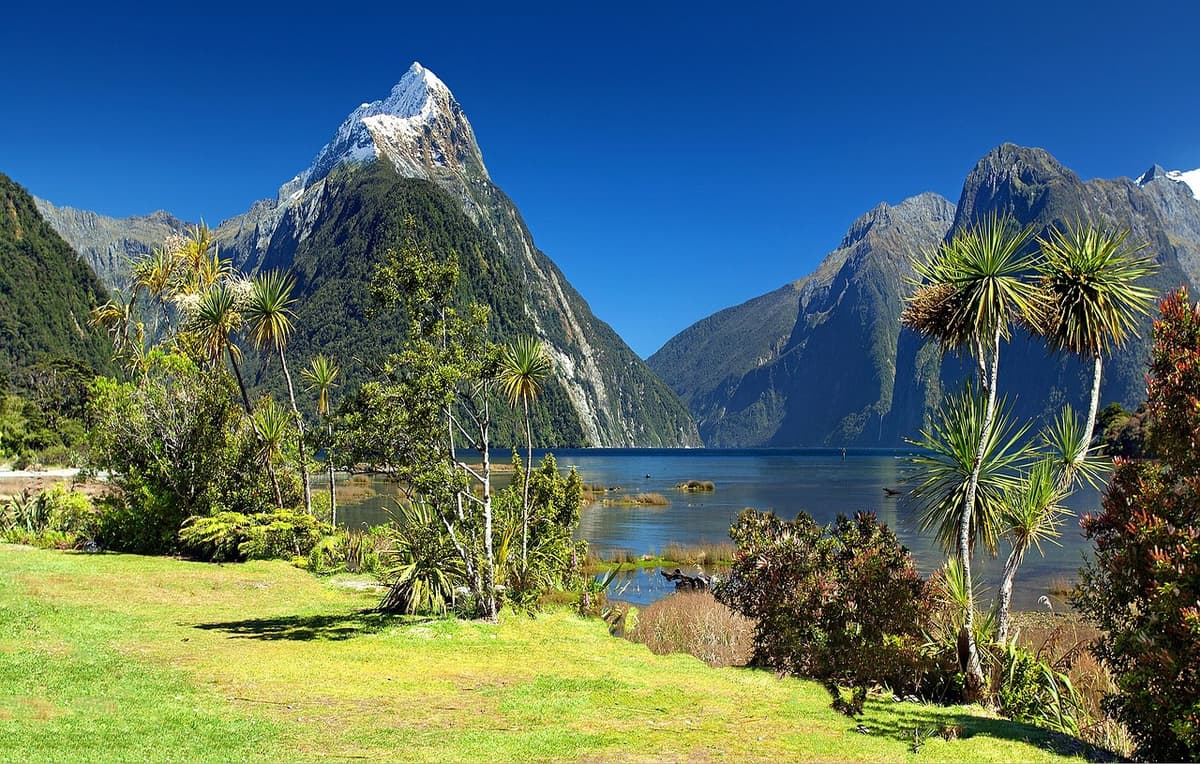 6 - New Zealand